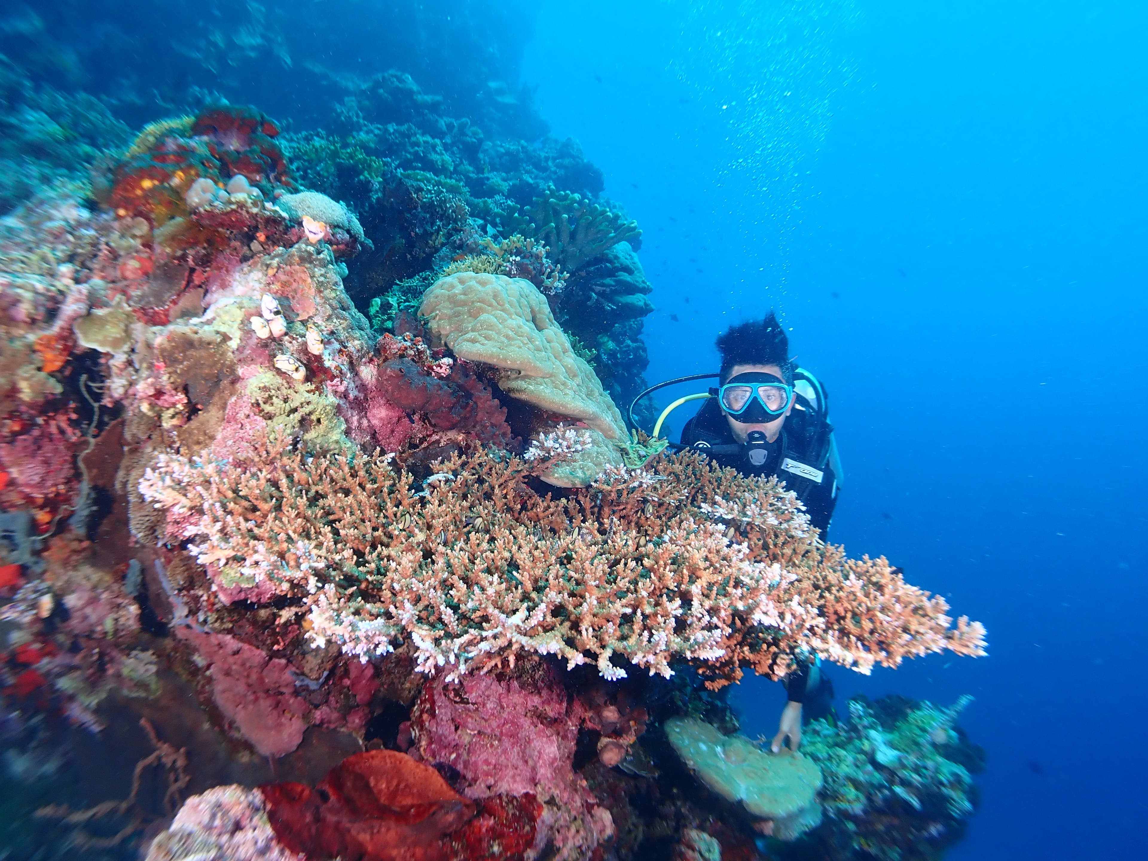 Enjoy Bunaken