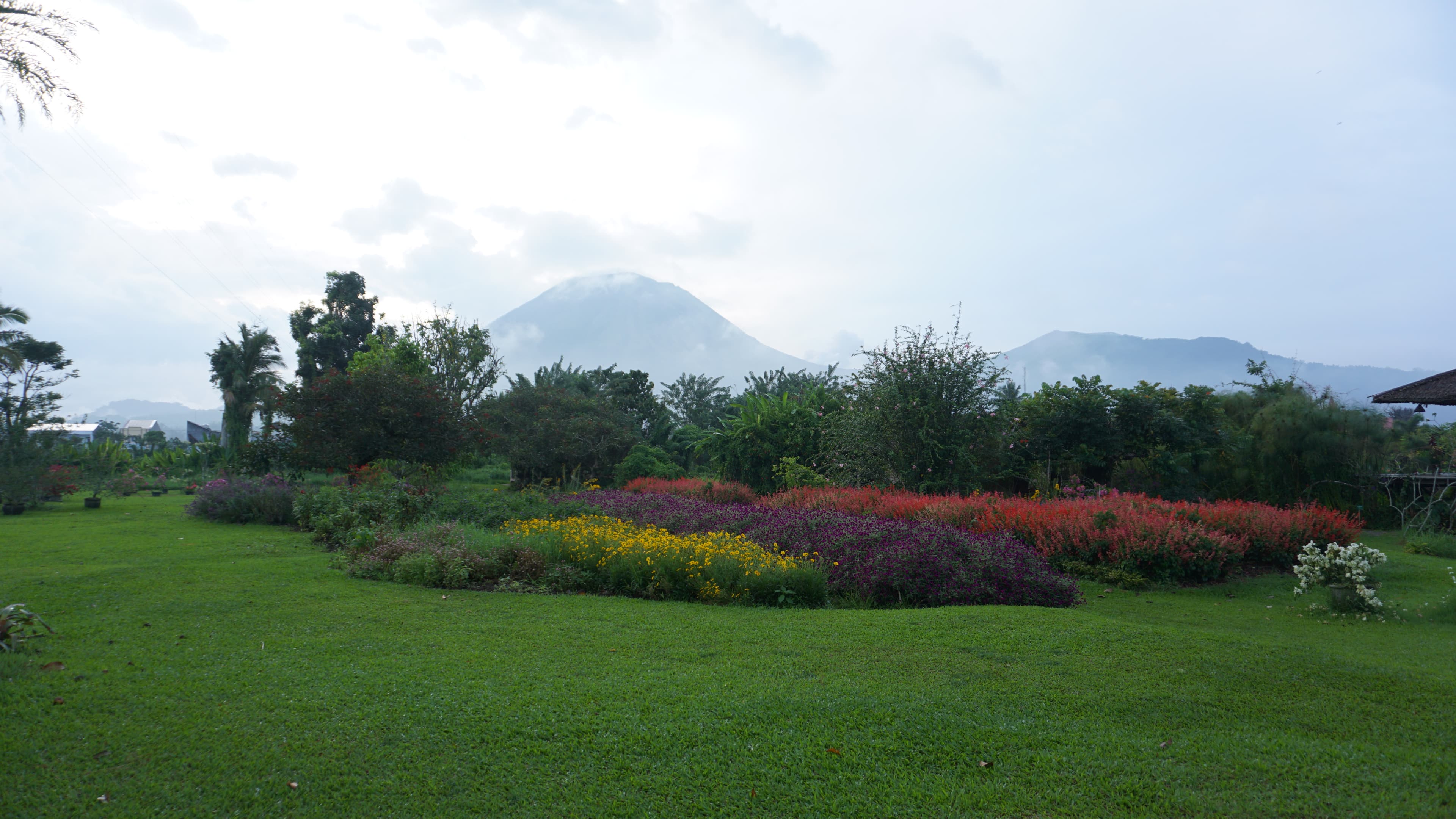 Taman bunga dengan latar belakang Gunung Lokon di Tomohon