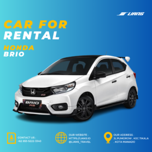 Car Rent Daily - Honda Brio